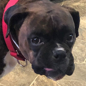 Meet your Posher, Chloe